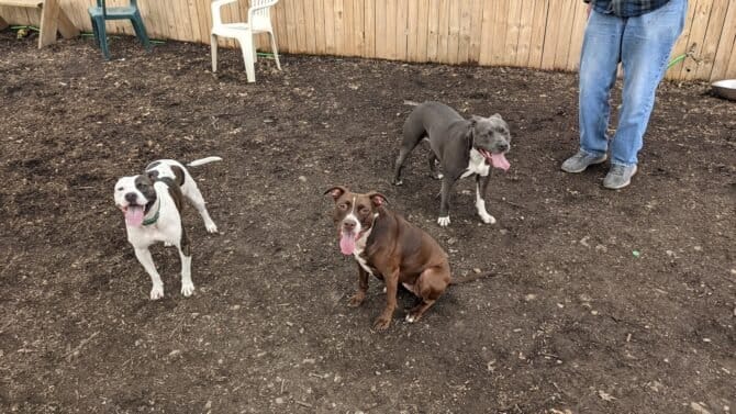 AC9h4nqA9KkUeLLeVGXcQW8KBPShcnw2s VcmDp0Co7EuAFdM7db7w0i5 axGBYP8iN7m1csTc7fqwzRvvu1zYNojKTrFACLpVjobLBV4YUf78lymsULaHwGzECq l6DLV6KBvWnku6feww1600 h1000 k no