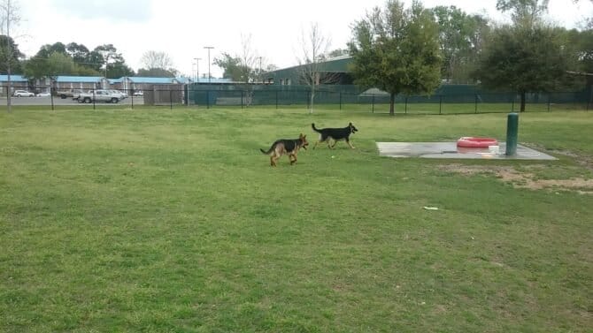 AC9h4nqAUZUrjh6ra68uhyWLJIvKLl3mDz2SQLQ6uCOlf1z46s2dAxbUa0nfECwI9iSAOdIpnwSV7v Gru9ztHbujbHcv4FrzhQMgB2bLNOg8IUbJNj6hXIyfVY E4ZwiMBH2er09uVhw1600 h1000 k no