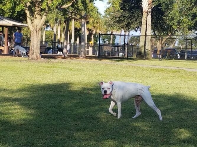 AC9h4nqAYObYhVp0ovSBY5OeOiMheXXD6hqE8 Fg5c0WExzTb5UFZsIfmsUAVwitRS EYtd5Dh4iGqpbSgXazpUoCgW4TBkcgqQzWS8I20YBp8jb9TRVg5fRmJfWbS bHcVTvvRFUHbKpww1600 h1000 k no