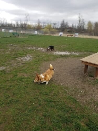 AC9h4nqAfT9aCKv9U5 NloHGoqMu5lqs Rsha0vLpMFLWYFoWVxcFvoW3R4Mr7fEM2aNC AHy8B b e3qsy8ZJ8wMzdhJT1pdv0cxYOKYzQUkUtz2EPR7dZJJd3uJTt8mLGjW3Zl1z0 w1600 h1000 k no