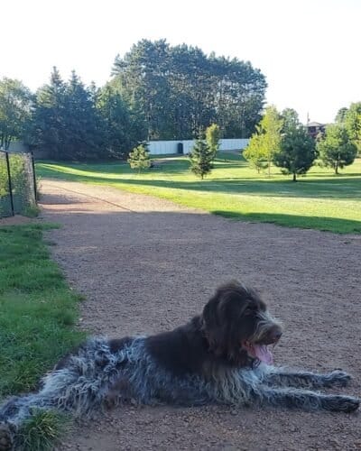 AC9h4nqApiGRPwZnvioiL8o muNuS1L6grWO6sfrP1MM Z1C8xY HEDwww35p6DzCpgWZ2 screAkT zrT0UcezPVxdQ7GfX0LzoVe405lBXziLKelZ nq5RPE 3gcOe7QM57I 3Lfcw1600 h1000 k no