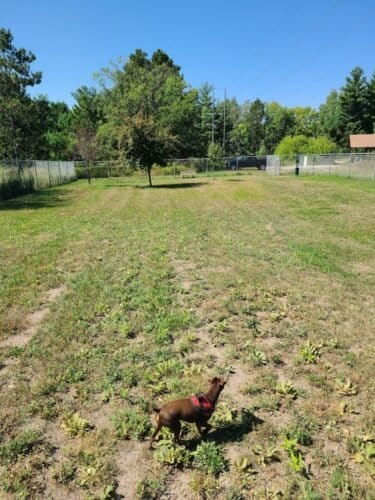 AC9h4nqBD1hLX0DyvtQvsK0OiAd7WsQvNt4y2GeXPMc7uZvxU5 YPzTNtB32RS9ftr COzovDv0KA30iliSeC2eBTVOcyGLnB7IaALfHVu647UBwO21dqg9MvqhE1Wc0x6JlG8hPFOAw1600 h1000 k no