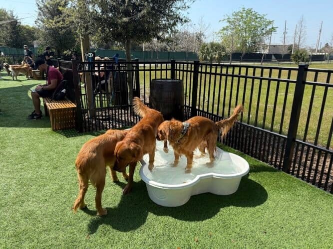 AC9h4nqBGxQT d1XbRtUnmv4SGNU8s83pU2ZmTLy4zpI 57hhQ5uwYsAzVlUolJ7PJI51Lw6mwXjcUMfD6ZqQWY5LuYqTKmSW GqvzaIu6tEAPrvKflv Nfu95xfEqzR9giLklzda7uvw1600 h1000 k no