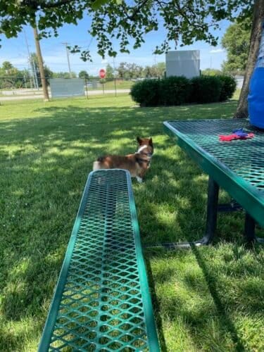 AC9h4nqBVwZwZ fjGB2qHbo57 h6BFpQx3nAbdZHBTi8r283ZxUYnM0EKFn Yvxajj8Uydrp5y45fcsrN jdgBfWZz05oB1qS ggRZWkoxObwsGFu7KPP4UQtmjKSSXIw4sV6boX6TbHw1600 h1000 k no