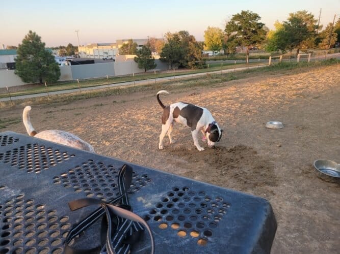 AC9h4nqBYMuOYX9 rpZuHu8qTNyQe7qfxaZko25RfJZAe rJEtsclX3amLcxv3XKZUSx68UmoRBMU9pkSZBFKhG5ur7uJfsnYAZSk2No3pUZyPAwL4XHMVtgpEFD82K0ai hqyd8uui w1600 h1000 k no