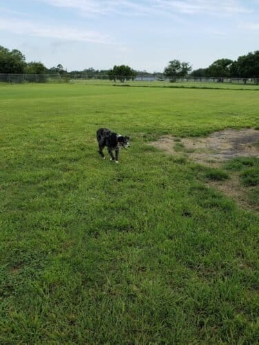 AC9h4nqBisMnFznbHfQtAwATZvKLEoqSgaEBBqlvg MiNCRjxwiuZWLT UwQP4LgCZNSOo FQrVPl8QfC3JBGhv8ggWxyUvr2QzDXG4EjeetihAnq5FLoCMTWZf5jabw pbF9zT 213Ew1600 h1000 k no