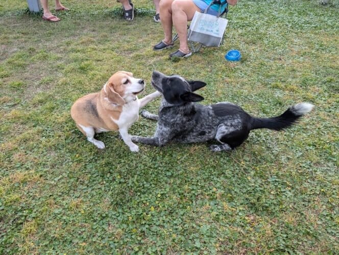 AC9h4nqBrr6BCfeEf 1Ho62bQfAtpcCMd3Z465QU1Q Bktag5S3kzq YMAKipHVlmkE7k30ZFdKmKq8lGpSYnug5N2jabnTsU0e5d ZHWvZmmvBT0lOi dj1IiUQ2dqokiaqaRCeYHWOPAw1600 h1000 k no