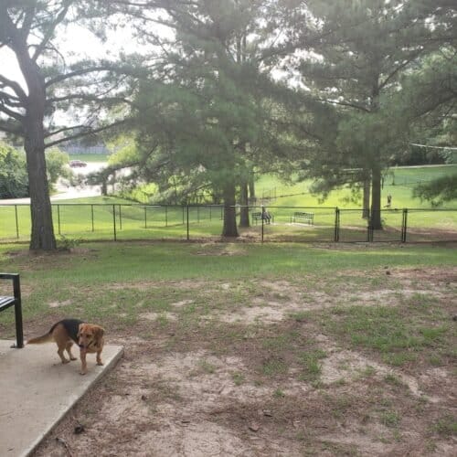 AC9h4nqC0uOvOem9WhuLmlHtXLwW8VeGLtZByhAKqMlrzBrBHpT8O7dDK7PyLqgeOWnrM4 9OsjNAklGKIs8 unbN1zynZcBIvCDU iE ww1600 h1000 k no