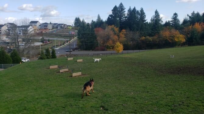 AC9h4nqCCOYW9EkbKnMx cNBoUxP F XyNgynWVQROjXs9IMHL3qU2dJEeL6UpbVdRlAxSLIjWSVtg2ggQ64GRMAzXhlnn6rcm c93w0e6CL8CFhpOAUnVDWRiOdkjnZYSREn5zQvFmtyww1600 h1000 k no