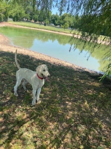 AC9h4nqCalRzV1cKzffkd6IZh526 hfItZYoUVLP2rOXqOfmoNMIMQIFvV4Q1qVFjW6W xAAeloGdA5YRx1cc2rwFQ1v3yqNhsp Q8QWjT1CXWLgCBWNcm4aKGXBuGrcx gNOMmxfdhMw1600 h1000 k no