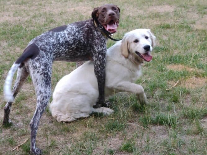 AC9h4nqCb4Lzfl2RuF8EQ0PRNrdccMzP 7xgCeRIww4BNs 3j1V41z0wUth7eipX6amQe 6awznkqSjUTj2XDKFboDzZou Ij8rb9b NMA0Fa1RWgBjZz MZ2FowvFnbX8OcBdvTgaMAFww1600 h1000 k no