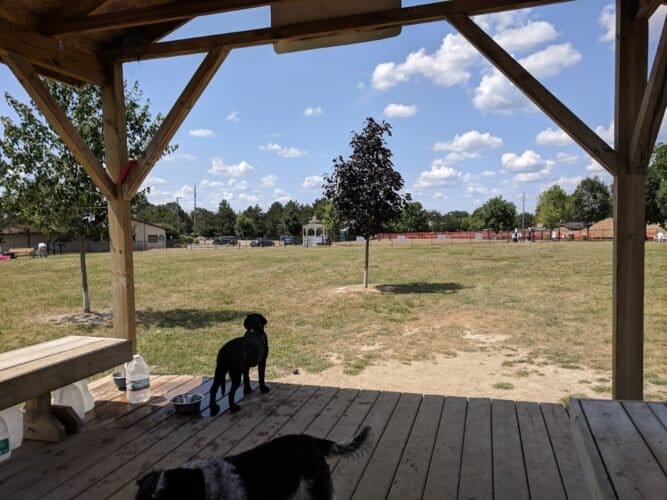 AC9h4nqCq9MSi N5ct6ROLrFvJ04KCkS4ZuqFOKYKzHuX0E0X XAU A4SvQcQnRTJaoRFsFSrECpHsUd5GPE p4i34O7zxusqft7hDhJuQf koeYdgodQpRWY8cB90Ev 5O1Hbj914PQw1600 h1000 k no