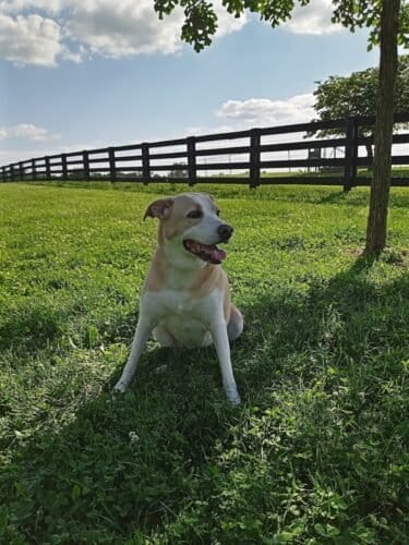 AC9h4nqD ZaReeqmfHdfe SbwMeOWE U6TO6oizi5O8OI5lcQntNQXL8CmRkqhx6HmBy0ytxBoWo6r6SJZNB7MBtorUrCU8BdeqzkcIu1Mkjpyd4XTR65zlDJctiq0UYBlnJAacwSOVaw1600 h1000 k no