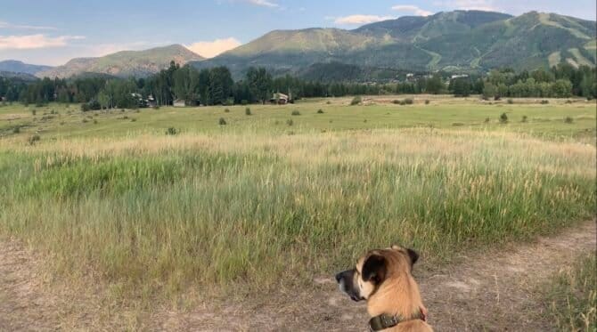 AC9h4nqD0Jji7TpHBuuzsN jLeLKkNQ7oheaggrgL5P zjsP6y9J0zLMJvH ZdO 3Xt3hwcNTCVUtHKnY9BBGJrOhBudcxPAnalW6WiJhg87k AYQVlu3tret7OsRc3lGuak6h17N Hww1600 h1000 k no