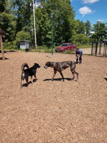 AC9h4nqD6aqcOEluF mfoG2 UeNVamIhe1A75a7gJp6 OekWRoZuKeMgZ2AakmyoDc29gJWx6Yqx5GMqLYW lqmE5QZZhjsNxvaJnIeW9zbwNgfPa1ghYSxk8cUOAJbTMrXe2eTdtbIw1600 h1000 k no