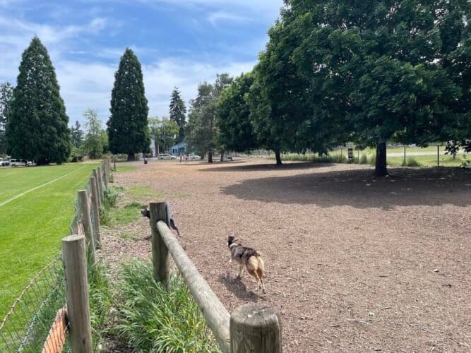 AC9h4nqDGDS6Lq9mI4xgbytxZInpo9sJe04qE4bxcWYhiqScZLA2s1mtjQ8Q6wjqylXZMeeAzY4A4DRFfguHR9XtzqdIhhzbkx2r5uFcoueNi334WulrNenuYvJTRwjBpT  BSYkEHomjww1600 h1000 k no