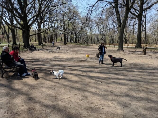 AC9h4nqDHCKkbVr8ElvOxxp cZposy3HUzbD63l667w 5xf8W fwpAg54yKsvvqQt2hLmmONKtY7x4SjW7qaJQ ZLA9o2YVz Qky7pfXryg49mPXFnrPWYVXI7uyh1P028c D1mW gz6w1600 h1000 k no