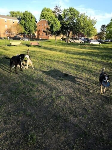 AC9h4nqDI0FMch K0yyrlwnoAPa oCx7AIkiLW79n26KkFNIh rHhyu6u rG7JVBcwsO73l9O6WfgbL4pNC0U3pClbnvF59oEU5 45n7HrI4kDwhGYT5TxtK hps3lRPNV22owB9XtneQgw1600 h1000 k no