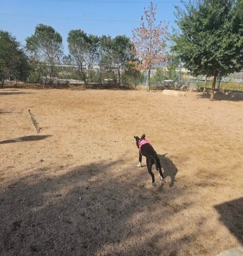 AC9h4nqDaKUu7imEMUI7u1F6EcLH2GExfl4dJYFG1Yli8UWGMRgEEy10t747kHeQilTfp508W8R8L1emAdgVljOO AozjxXHRVZGICbPnGnLzqX3YZdGjVgMgypvLjHUArt6 iJf xDAbgw1600 h1000 k no