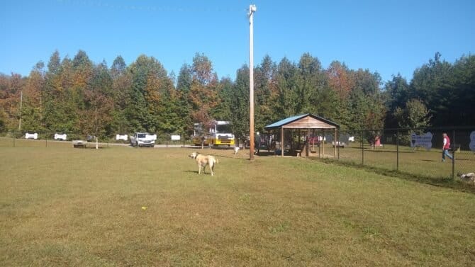 AC9h4nqDkbAGghlYhziYuX 6 qWObl1s TCs47zVYk29L2JLo3a4aJezU3452m0lvL7yEBmpqZappDEieklgnc4GnyeQNAxsyUJMA5X4rFcw1600 h1000 k no