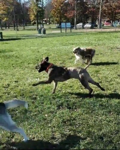 AC9h4nqDtEPw wh6wv4gbBNGh5fYnKj06XovPDVIdupfWLsL9PaCFFhXDxZttEKJO2caFjM7 21TMlesjShwq3Ialhlt9X8EGpePlnKLEbvR13Fn1dKtIbjlYFCTooTzV8qwQBM6GmMyw1600 h1000 k no