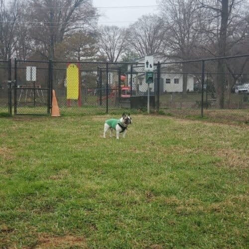 AC9h4nqDwKTMCy3Z55EnjE lljcvXaNWrg1 AgOAiPpUa3V 2F2CCROZJjI9gCzey zDp6xh162lVWnq eKVmzgStlncqLfEEjEDK3QgnE9G9b0BO0Rq31iQqOWxAfYpkCpslwaNauxmw1600 h1000 k no