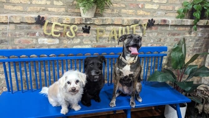 AC9h4nqEPatriytRmMSrDYA3OKyme4ZT3BHuLuGTPt jTI2G5Z A0K66tO32RxxzBZJ S l3TEcFRtHcb8pFSoOgJXUmqoFUvPjMgbYNCkjVB2XG7o35wPS1oDf GplgM2nO 4NLXPrCw1600 h1000 k no