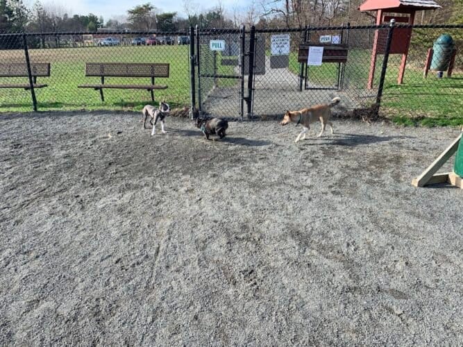 AC9h4nqES3b2zmakEVc9Cna52HK3eLXrrEFO47h IHHBeOHc3dVjjBpk apczFK1pXejIIGy8hlaVtllnSCJryfaGMy1HOTThc7SXVvF6fKafddqLPedWLABb8hborCrjoqXQwIgowk3aAw1600 h1000 k no