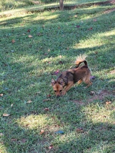 AC9h4nqEZJEzyq s1UAlaAntrqQFj8iGFjFu M8MWl6kNtedI sP9i87PPJMydRfxdG8R1OSU6dT8yxYtZEcF0g31ziOLOKwxaZ2WGk5ZZXePRB5gZOJzufnaHI2DEcKnEfxfwmhp1qJw1600 h1000 k no