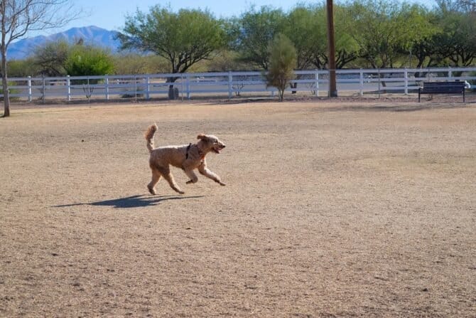 AC9h4nqEn5Cqb5ihk1j z2kpOBG0maK7OHiDGaLmcdgxMU 5WQVOYRNr6P1DCDphb3YWW8jpxwomypba3HVAiDA8dV9t0Nvcwc0QXwwU6EyXNtbOfg6Npbk9FUESAYFrRu7aG e0thY w1600 h1000 k no