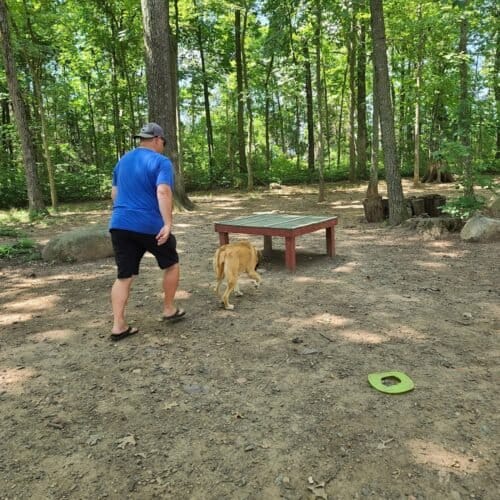 AC9h4nqFHCNvcwUGcM2 SjX907fw7dqGiCCWxWfr47ea82gJFqn3A huKvad5Nlt1rrBV7KFt6Teos0rPgWDlPgTK JBQU2 WZluAHL9bxkxiPgqUOkbkQfa3xe5L1ncSlvSCoTDzvtnw1600 h1000 k no