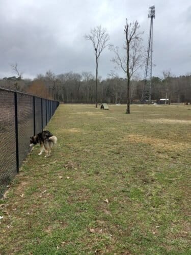 AC9h4nqFMRsrekLXiaNmyv0R8mHL0 6sUWmJvYJAk8ZmBCqPitLrtoQ cf6OCPIup5tQkJdPzLAfSo4weCUA96OP8f3lp4A Th wx5cB8AGYr07A79vGC7jdW1g2bn96psCEUYpWvb7tw1600 h1000 k no