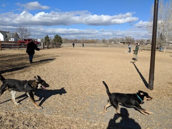 AC9h4nqFaMgXDdjrXVdQef1fRlzGf enohquDlVre9sbXLTg2eQcV0ry6qi i4uqmKhpjrDmHUg049cXEkdQTQ1 GYgUIijJcGag4JVoymPJrBn Gnrji0Ag33IH Ksg3NhHszqkRS Nhgw1600 h1000 k no