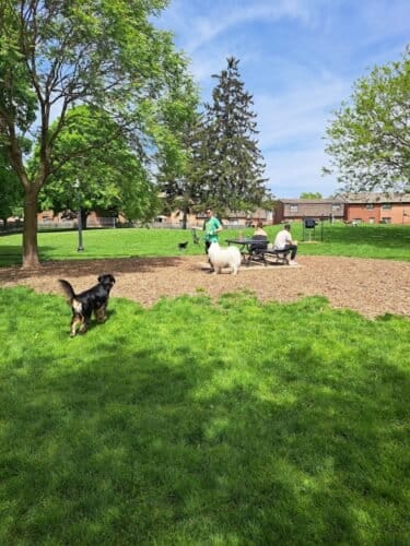 AC9h4nqFdEsnA3aWJ1qn7VzYCAzVabOxjf7u5g ztuxfEhzLTT5LrPa8DkWsnZ2fZtFyXbei9 e6fFAkuKBrf1zJmPRpF96NIgNPXzCKDSgQRr3rCZ0pBomtExMwQU 28Hnw7jU8bZOpw1600 h1000 k no