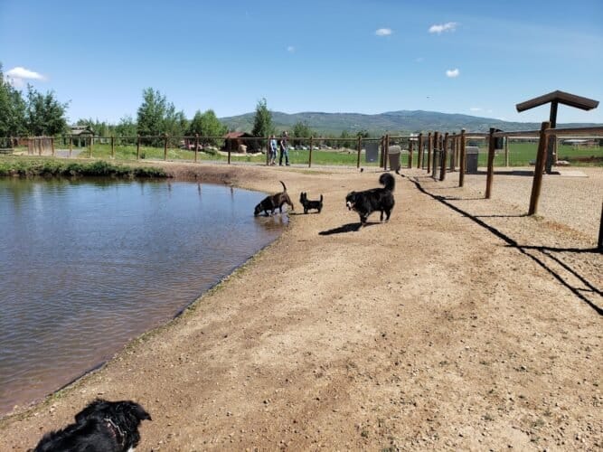 AC9h4nqFfjTOB4s508Yudi58RxvpsTmygleLMLTk BloMWbAs sOX0nh5PWqcuB2KcHto6V8kQ8GrpkMelkGb8ptiGBkk7RqeekLUcvl9Aw1600 h1000 k no