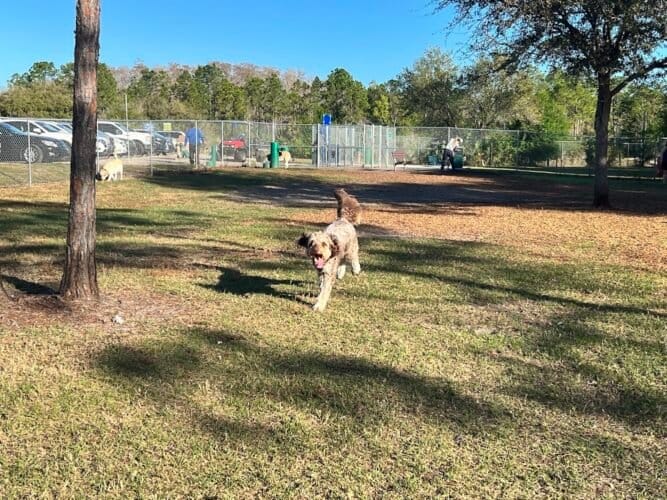 AC9h4nqFfqqsbJG6Cq11TIqUrqlHgHeUWNgnca 2TSraHoUQ9N8UI41TRrOA23nMXf39vwYUt8oedtEOtHwdIkDVdOWFCOya7Xow05RM5Aw1600 h1000 k no