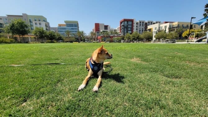 AC9h4nqFj nQM3  WnNx0ecVW4t1qgDbKuBr1 enSOyUUc13QW52NxUpq8YBPSUUbDwoGRo CtcpcSa6SBjU0LCYWEOomHf01XkyWrqPsh A48V0QiujJKv u7z3Sch5hHRacUV5lE cw1600 h1000 k no