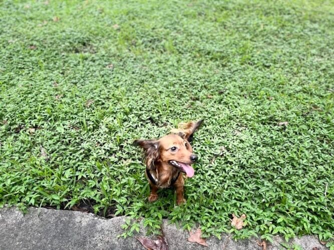 AC9h4nqFmdycFMFv9z8j1jY2OVyixNyqzW8x9hGDjTjaElxrzNXYlopq7SRH0gOTODSnr5Z6vCidI5mKVk26vTlCHzrkkG4MMoz 635eX6EX7VtFpGzUkR tOrbbetCMd6KOeU Ipvgw1600 h1000 k no