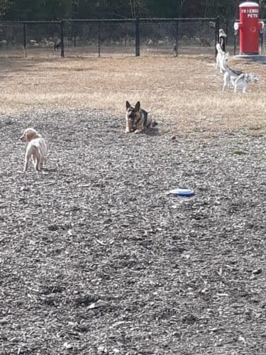 AC9h4nqFniGCZcpOCsLT82Tylb4JuD0KMsyxLwzCDtEZGwX15zlDSeoGtvFKY45ERFUxNjMDrTwKAwmsFNEuOJLVW78q05dZs1jugPYY85Rf Ypn1xn3Pl bP8eciV4zFh S2Vqc AuLqgw1600 h1000 k no