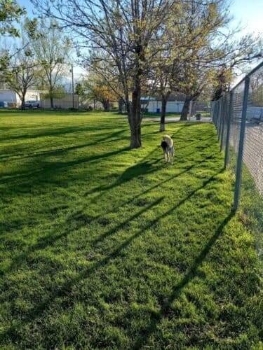 AC9h4nqFp7lLAYWsb9tGMiscnghMGpIMGDhDgsJgGrBM8AZC79xfCaBAadO69QjAxq7QGTpU NVQAyCIt2XoaX1mbvYDJqs8CDMLtU9sgkASggr0ADn aLDcV14OZ8ZhHNrMp fuMVJaNQw1600 h1000 k no