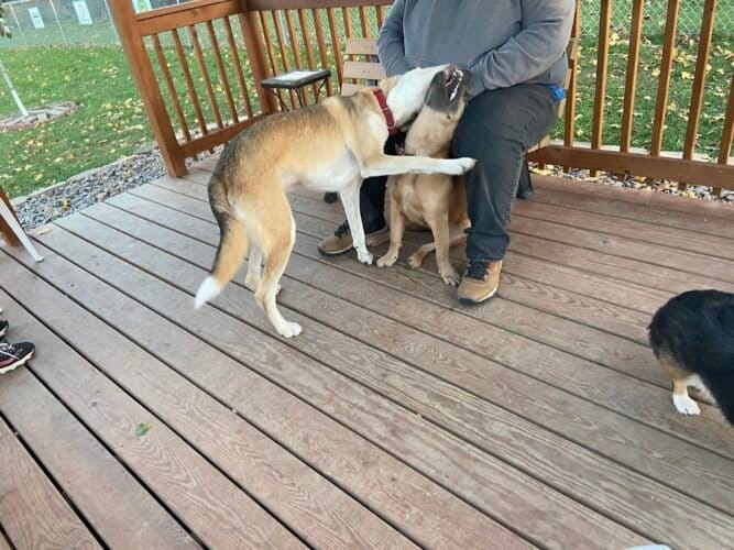 AC9h4nqFs7BkUMyfyrWgAb1T3hoPVJ1838jwQafk8RYivhvb1jcPYiGn4ELMbimSbWgJL 4jWZJBUPrPTDLciz8BKot0ZY NdwYxza IcqGiDsvweIFKOuh9x3UOup8asAwQpBiAqoRewww1600 h1000 k no