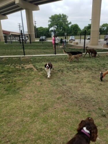 AC9h4nqG0qCEKWU8ib h2poHcYNkFXBm6KEg0f1RDBBa5M4ZSo7NWrx0 vYaV9bdY1mO02KXCfCz7JwYLTPBdW3QYJUlISJevfTrSz 9P8Mv W1my7sGhIOPmkyQse4YQfdEy4byUB5Tw1600 h1000 k no