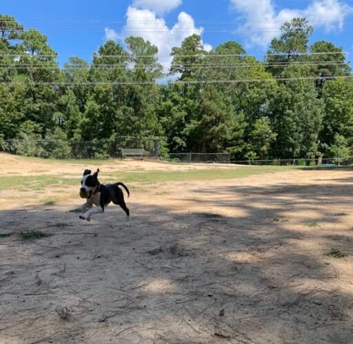 AC9h4nqG4qaHDMOp9Xj0K5cbGt9cSyPZ0sIUNiz5reWc8ubLBnTgeTR5RZLonjuj9TNLoppWncSEqe7HMaIt4u aCecRmRRnk3XMAulZcBxDzK9jLze22L0o1LGWW83tUestToLSYTW1w1600 h1000 k no