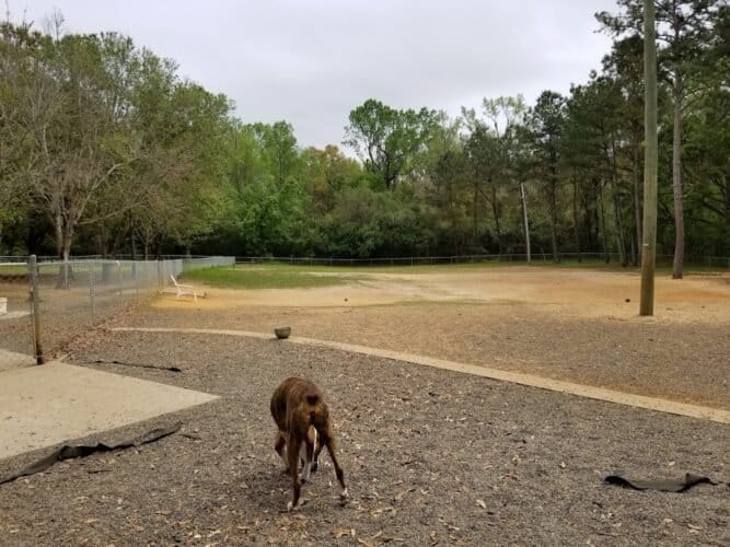 AC9h4nqGBXi zeFoDA6LKG0xvWTOPktG 8cJlvo7UthDVXrjYgcJX0FrEHNJlzOTIRCDZ3gqODsQCqoci45tykOvy8pi 6TBTD0QuDdk6Qw1600 h1000 k no