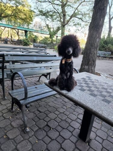 AC9h4nqGBoklTF9BgnbdYEihzavjyfCSQJiyFmzMDt5ZJmcqA4BsiW3r6oFPySRlR k7BP tk0KDV5hcSakBAtqL1VE5Q6kPbP2Cs HVL7XrMZcqr5JH11s5udqj 0zRzYw0sjokOLAw1600 h1000 k no