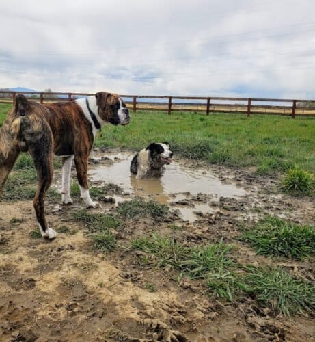 AC9h4nqGCevrZjYGXNxCbn9ey9am8lkaEButZ18N5p5Z95vW7xGxOUTJbH04RbCq jMe123OYaPZ0sfdNsgiqB0wgbfJF Katm64qgZK vs 1CriKM7s3BwzirySlij1CT4dcYBBonsxw1600 h1000 k no