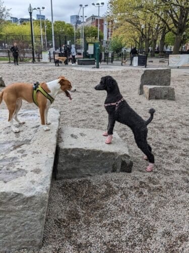 AC9h4nqGH40gEozZJxbv3OtPuwaHul1V6hcrPRMgMXoE4O5ZRsOz4h3hdQMri89Tj2j3Gr1ZB7SO4rIJ1pHxlzX6gsnpZM368u8nw r2ww1600 h1000 k no