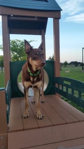 AC9h4nqGRGaqmOI29uL gw2cMLqnFuREbYMEeWWbIZRYayk7IpDxBKZBllPBTdxgqRNL21PGIeSJPe7L3FdC17ckXVNe5k0dB1FNo5p7ubYRXF5N  Fo2rs2bWdAqCUWSzDH LZ5 mRh1Qw1600 h1000 k no