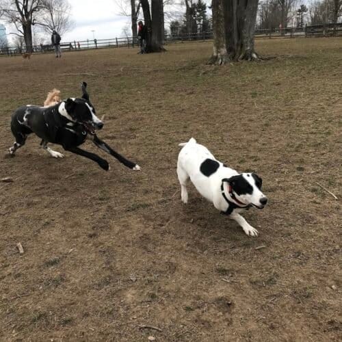 AC9h4nqGVS0IfGDRl0 xRkRBfCjTAOHUj lwQvUH9rhyNsat w955aevN8u0wiX4yB4Ww2GsJTLHo3Zc3Z7zSZ nFzr10zats DsZikQLfoVAfEEtUn8c7Sild1tqW1w38qwkeMI2U3vw1600 h1000 k no