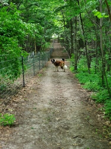 AC9h4nqG t9Grs2 ud9Z7UQ8t5ObX0eHGFaUGjtQx2b8dkj3ywybFngipeUX 2lJnu8mIzALuwBEW0MvI06Ot1BlXU44hYQfoo62DlLMz 7tv5YoYt7xv0LrwhMtAj 0Vs GedQtZ Dtw1600 h1000 k no